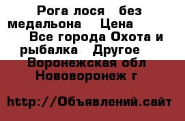 Рога лося , без медальона. › Цена ­ 15 000 - Все города Охота и рыбалка » Другое   . Воронежская обл.,Нововоронеж г.